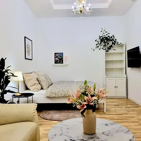 Amelia Old Town Apartment Plus 1 Free Parking Offsite * Košice